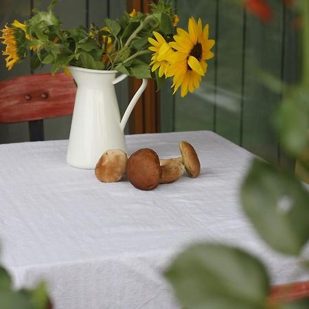 Holiday Home Trnavsko Bogojina 외부 사진
