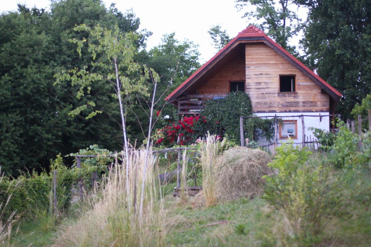 Holiday Home Trnavsko Bogojina 외부 사진