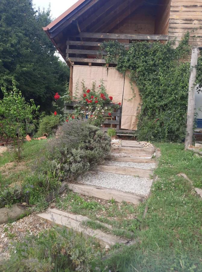 Holiday Home Trnavsko Bogojina 외부 사진