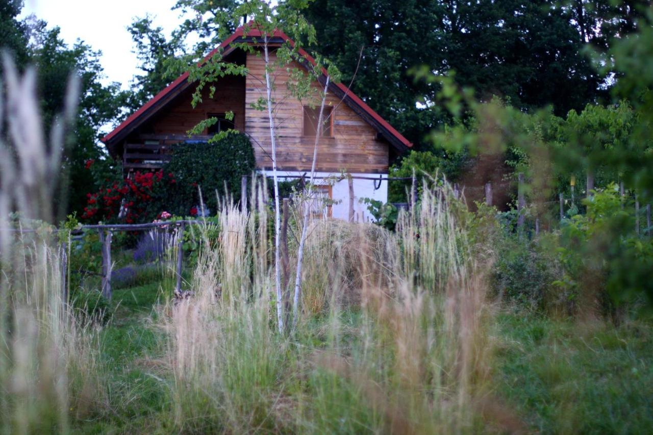 Holiday Home Trnavsko Bogojina 외부 사진